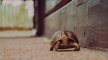 Miért jobb néha lassabban haladni egy városban?